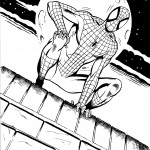 Spiderman on rooftop